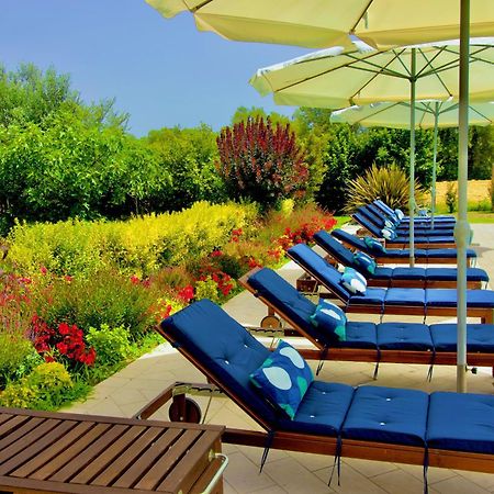 Ca' Leone - Sans Souci - Apartment With Pool Mira Exterior foto