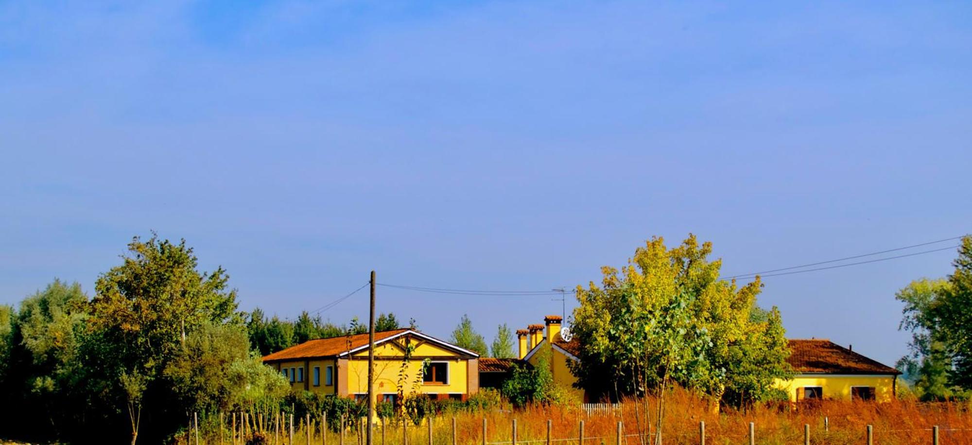 Ca' Leone - Sans Souci - Apartment With Pool Mira Exterior foto